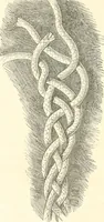 An illustration from Der Stil in den technischen und tektonischen Künsten; oder, Praktische Aesthetik. Ein Handbuch für Techniker, Künstler und Kunstfreunde (1884)