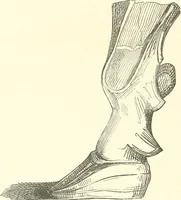 An illustration from Der Stil in den technischen und tektonischen Künsten; oder, Praktische Aesthetik. Ein Handbuch für Techniker, Künstler und Kunstfreunde (1884)