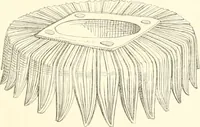 Picture 58 of 123 from Der Stil in den technischen und tektonischen Künsten; oder, Praktische Aesthetik. Ein Handbuch für Techniker, Künstler und Kunstfreunde (1884), leaf 266