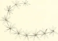 An illustration from Der Stil in den technischen und tektonischen Künsten; oder, Praktische Aesthetik. Ein Handbuch für Techniker, Künstler und Kunstfreunde (1884)