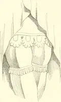 An illustration from Der Stil in den technischen und tektonischen Künsten; oder, Praktische Aesthetik. Ein Handbuch für Techniker, Künstler und Kunstfreunde (1884)