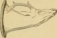 An illustration from Der Stil in den technischen und tektonischen Künsten; oder, Praktische Aesthetik. Ein Handbuch für Techniker, Künstler und Kunstfreunde (1878)