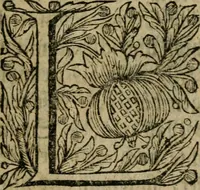 An illustration from Der von Mose u. denen Propheten übel urtheilende Alchymist, wird fürgestellet in einer Schrifft-gemässen Erweisung : dass Moses und einige Propheten, wie auch David, Salomon, Hiob, Esra und dergleichen, keine Adepti Lapidis Philosophorum gewesen sind : ingleichen dass die Lehre und alchymistisch vorgeben, von Verwandlung der geringen Metalle in Gold, eine lautere Phantasie und schädliche Einbildung sey (1706)
