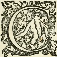 An illustration from De sacris aedificiis a Constantino Magno constructis : synopsis historica (1693)