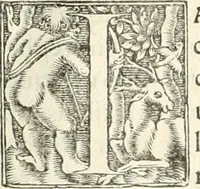 An illustration from Hieroglyphica, sive, De sacris Aegyptiorvm literis commentarii (1556)