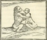 An illustration from Hieroglyphica, sive, De sacris Aegyptiorvm literis commentarii (1556)