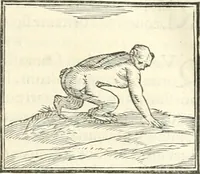 An illustration from Hieroglyphica, sive, De sacris Aegyptiorvm literis commentarii (1556)