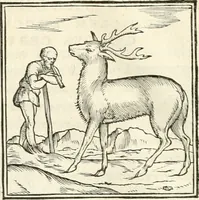 An illustration from Hieroglyphica, sive, De sacris Aegyptiorvm literis commentarii (1556)