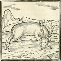 An illustration from Hieroglyphica, sive, De sacris Aegyptiorvm literis commentarii (1556)