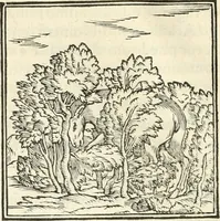 An illustration from Hieroglyphica, sive, De sacris Aegyptiorvm literis commentarii (1556)