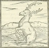 An illustration from Hieroglyphica, sive, De sacris Aegyptiorvm literis commentarii (1556)