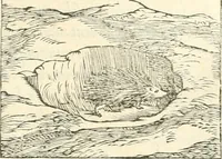An illustration from Hieroglyphica, sive, De sacris Aegyptiorvm literis commentarii (1556)