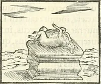 An illustration from Hieroglyphica, sive, De sacris Aegyptiorvm literis commentarii (1556)