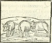 An illustration from Hieroglyphica, sive, De sacris Aegyptiorvm literis commentarii (1556)