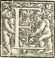 An illustration from Hieroglyphica, sive, De sacris Aegyptiorvm literis commentarii (1556)