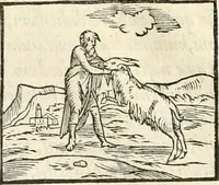 An illustration from Hieroglyphica, sive, De sacris Aegyptiorvm literis commentarii (1556)