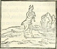 An illustration from Hieroglyphica, sive, De sacris Aegyptiorvm literis commentarii (1556)