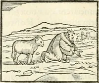 An illustration from Hieroglyphica, sive, De sacris Aegyptiorvm literis commentarii (1556)