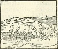 An illustration from Hieroglyphica, sive, De sacris Aegyptiorvm literis commentarii (1556)