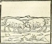 An illustration from Hieroglyphica, sive, De sacris Aegyptiorvm literis commentarii (1556)
