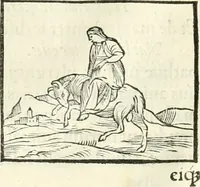An illustration from Hieroglyphica, sive, De sacris Aegyptiorvm literis commentarii (1556)