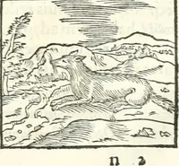 An illustration from Hieroglyphica, sive, De sacris Aegyptiorvm literis commentarii (1556)