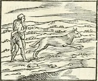 An illustration from Hieroglyphica, sive, De sacris Aegyptiorvm literis commentarii (1556)