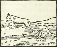 An illustration from Hieroglyphica, sive, De sacris Aegyptiorvm literis commentarii (1556)