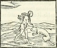An illustration from Hieroglyphica, sive, De sacris Aegyptiorvm literis commentarii (1556)