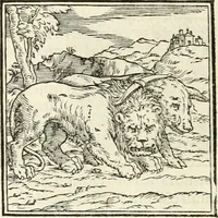 An illustration from Hieroglyphica, sive, De sacris Aegyptiorvm literis commentarii (1556)