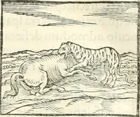 Picture 88 of 295 from Hieroglyphica, sive, De sacris Aegyptiorvm literis commentarii (1556), leaf 172