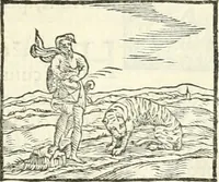 An illustration from Hieroglyphica, sive, De sacris Aegyptiorvm literis commentarii (1556)