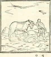 An illustration from Hieroglyphica, sive, De sacris Aegyptiorvm literis commentarii (1556)