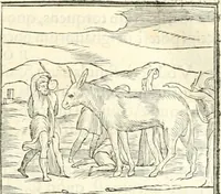 An illustration from Hieroglyphica, sive, De sacris Aegyptiorvm literis commentarii (1556)