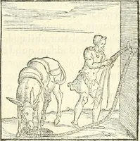 An illustration from Hieroglyphica, sive, De sacris Aegyptiorvm literis commentarii (1556)