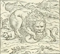 An illustration from Hieroglyphica, sive, De sacris Aegyptiorvm literis commentarii (1556)