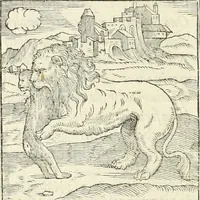An illustration from Hieroglyphica, sive, De sacris Aegyptiorvm literis commentarii (1556)