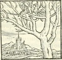An illustration from Hieroglyphica, sive, De sacris Aegyptiorvm literis commentarii (1556)