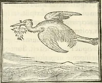 An illustration from Hieroglyphica, sive, De sacris Aegyptiorvm literis commentarii (1556)