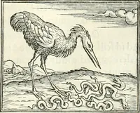 An illustration from Hieroglyphica, sive, De sacris Aegyptiorvm literis commentarii (1556)
