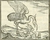 An illustration from Hieroglyphica, sive, De sacris Aegyptiorvm literis commentarii (1556)