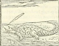 An illustration from Hieroglyphica, sive, De sacris Aegyptiorvm literis commentarii (1556)
