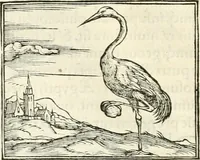 An illustration from Hieroglyphica, sive, De sacris Aegyptiorvm literis commentarii (1556)