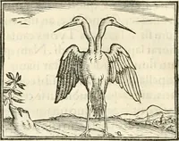 An illustration from Hieroglyphica, sive, De sacris Aegyptiorvm literis commentarii (1556)