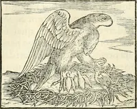 An illustration from Hieroglyphica, sive, De sacris Aegyptiorvm literis commentarii (1556)