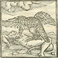 An illustration from Hieroglyphica, sive, De sacris Aegyptiorvm literis commentarii (1556)