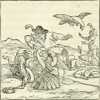 An illustration from Hieroglyphica, sive, De sacris Aegyptiorvm literis commentarii (1556)