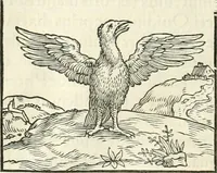 An illustration from Hieroglyphica, sive, De sacris Aegyptiorvm literis commentarii (1556)