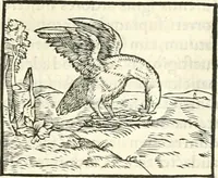 An illustration from Hieroglyphica, sive, De sacris Aegyptiorvm literis commentarii (1556)