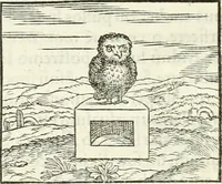 Picture 132 of 295 from Hieroglyphica, sive, De sacris Aegyptiorvm literis commentarii (1556), leaf 295